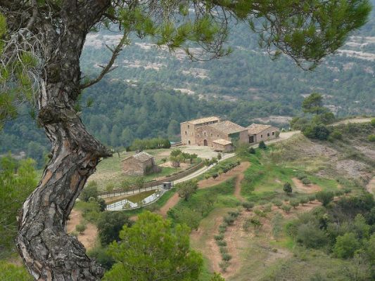 Premi aqui per a veure la imatge a grand�ria completa