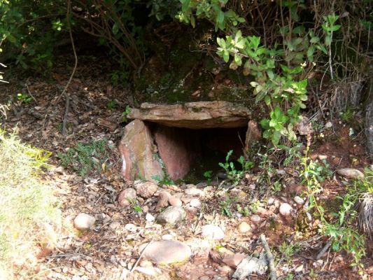 Premi aqui per a veure la imatge a grand�ria completa