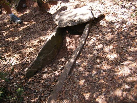 Premi aqui per a veure la imatge a grand�ria completa