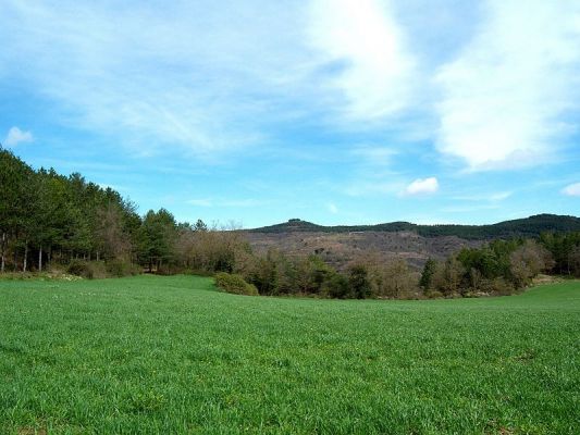 Premi aqui per a veure la imatge a grand�ria completa