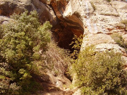 Premi aqui per a veure la imatge a grand�ria completa