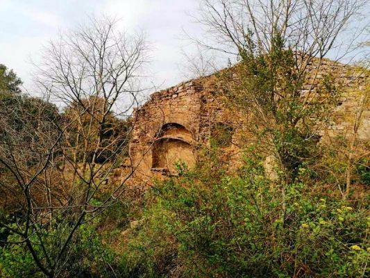 Premi aqui per a veure la imatge a grand�ria completa