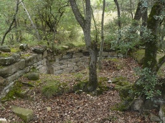 Premi aqui per a veure la imatge a grand�ria completa