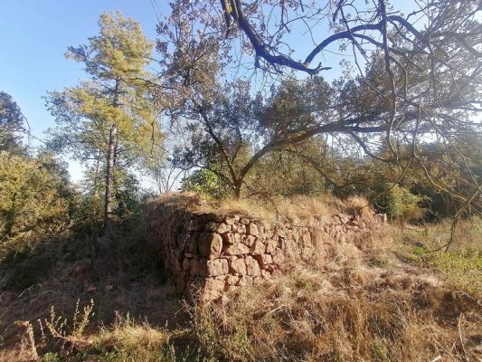 Premi aqui per a veure la imatge a grand�ria completa