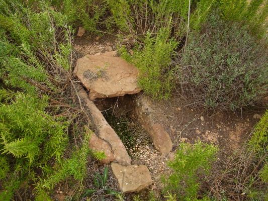 Premi aqui per a veure la imatge a grand�ria completa