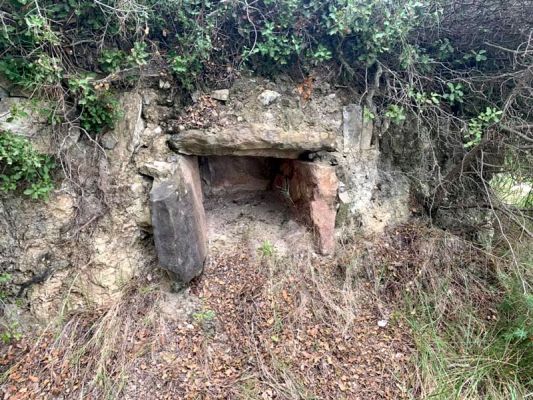 Premi aqui per a veure la imatge a grand�ria completa