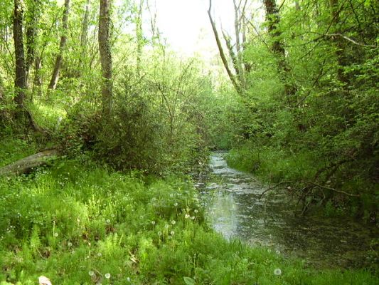 Premi aqui per a veure la imatge a grand�ria completa