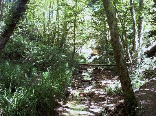 Premi aqui per a veure la imatge a grand�ria completa