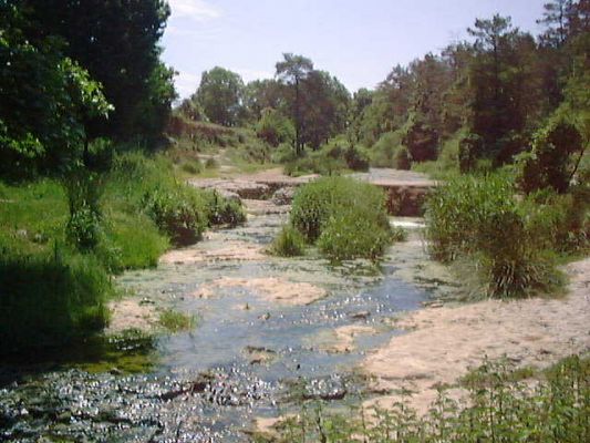 Premi aqui per a veure la imatge a grand�ria completa