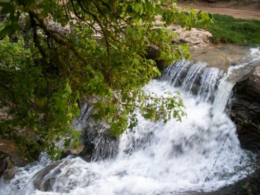 Premi aqui per a veure la imatge a grand�ria completa