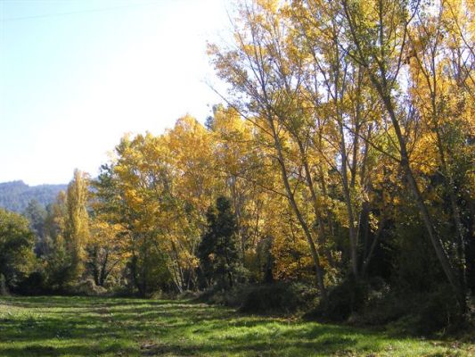 Premi aqui per a veure la imatge a grand�ria completa