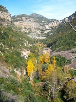 Premi aqui per a veure la imatge a grand�ria completa