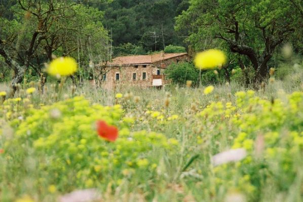 Premi aqui per a veure la imatge a grand�ria completa