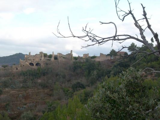 Premi aqui per a veure la imatge a grand�ria completa