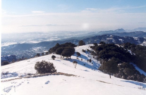 Premi aqui per a veure la imatge a grand�ria completa